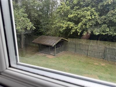 Picture 23